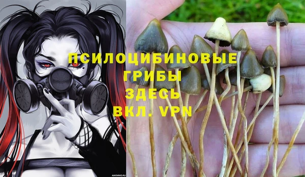 стаф Балахна