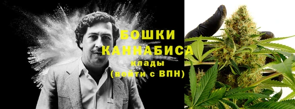 стаф Балахна