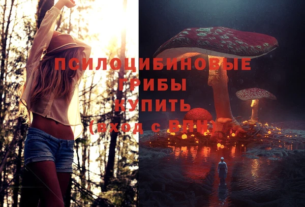 мяу мяу мука Балабаново
